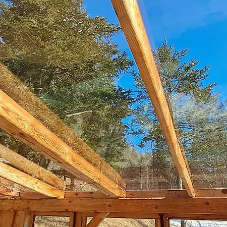 Vegetarian Forest Escape - Hiska Na Soncu Chalet *