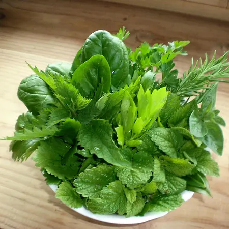 Vegetarian Forest Escape - Hiska Na Soncu * Gorenja Trebusa