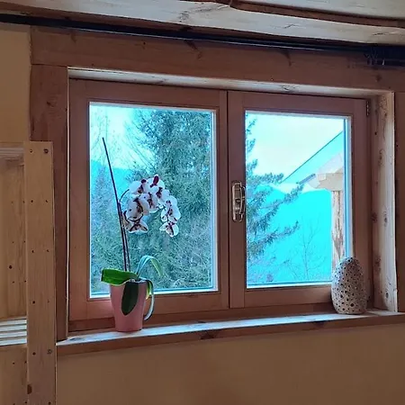 Vegetarian Forest Escape - Hiska Na Soncu Dağ evi
