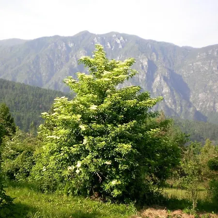 Chalet Vegetarian Forest Escape - Hiska Na Soncu
