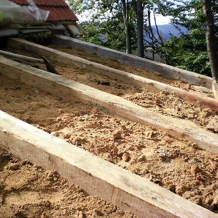 Chalet Vegetarian Forest Escape - Hiska Na Soncu