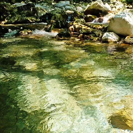 Vegetarian Forest Escape - Hiska Na Soncu Chalet *