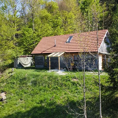Vegetarian Forest Escape - Hiska Na Soncu Gorenja Trebusa