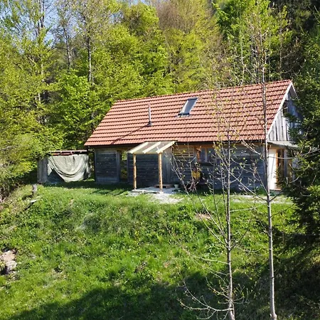 Vegetarian Forest Escape - Hiska Na Soncu Gorenja Trebusa