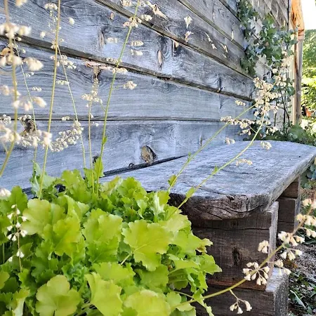 Vegetarian Forest Escape - Hiska Na Soncu